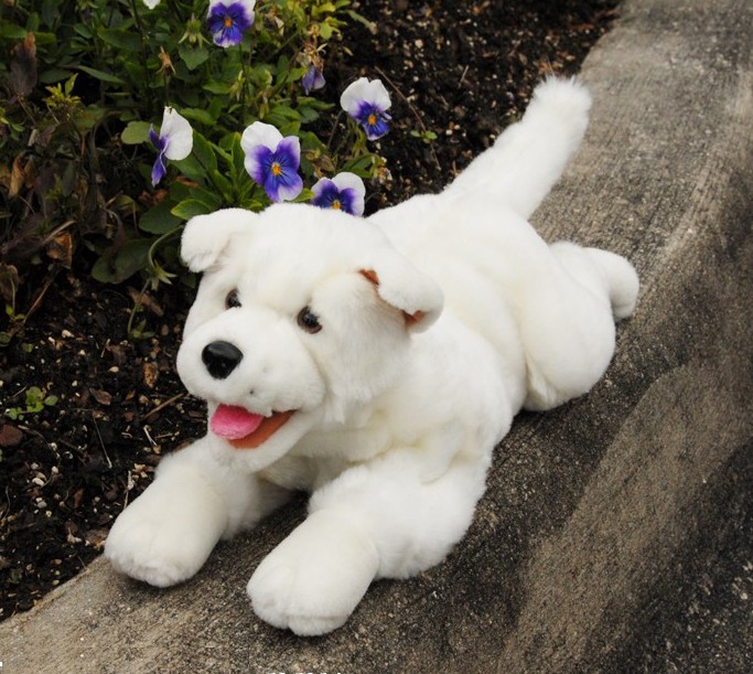 White Puppy - Click Image to Close