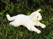 White Cat (18 INCHES) - Click Image to Close